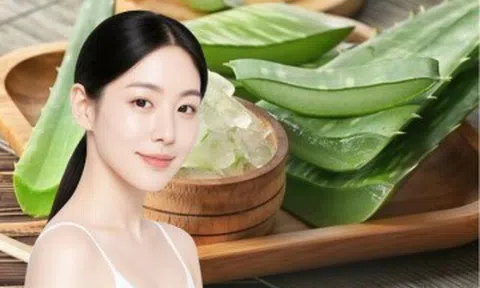 5 cách làm đẹp với nha đam giúp da bớt khô ráp, giảm cảm giác nóng rát ngày Hè