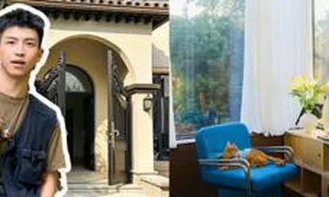 28 tuổi ký hợp đồng thuê biệt thự 38 triệu/tháng trong 10 năm: Cái hay của việc ở thuê dài hạn