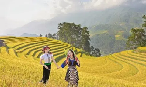 Mù Cang Chải mùa lúa chín đẹp như tranh