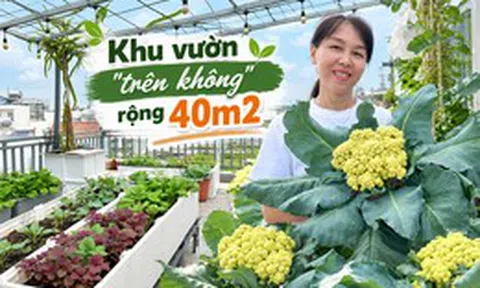 Khu vườn 40m² trên sân thượng ở TP.HCM: Rau xanh ăn quanh năm, chiều nào gia chủ cũng lên “xả stress”