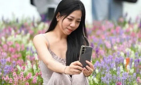 Nàng thơ nô nức check-in với loài hoa mới lạ ở Bờ Hồ