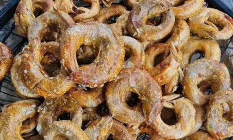 Loài cá "miệng ngậm đuôi", vừa hấp vừa xông khói thành đặc sản nức tiếng xứ Nghệ