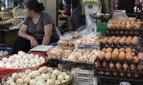 Bà chủ bách hóa nói thẳng: Mua trứng thấy 4 dấu hiệu như này thì cứ quay lưng mà đi, giảm 2/3 giá cũng không ham