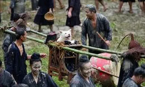 Lễ hội cõng chó độc lạ ở Trung Quốc