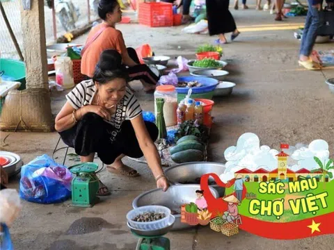 Về Sơn La ghé phiên chợ kỳ lạ bậc nhất: Chỉ họp 4 tiếng/ngày mà bán hết veo nhờ một loại hàng