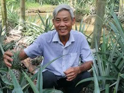 "Đệ nhất" khóm miền Tây hơn 80 năm tuổi được trồng như thế nào?
