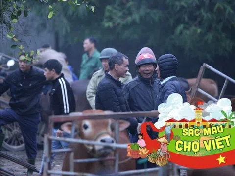 Phiên chợ lạ ở Hà Tĩnh: Tồn tại hàng trăm năm nhưng cách mua không đổi, chốt giá bằng cách... đập tay