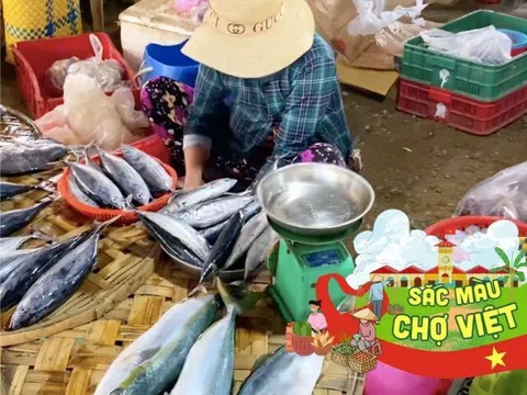 Mách bạn khu chợ ít người biết ở Phú Yên nhưng bán hải sản cực nhiều và siêu rẻ, đảm bảo đến là "chết mê"