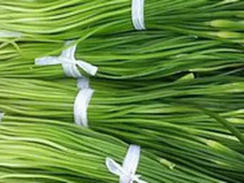 30 năm kinh nghiệm mua rau, 5 loại rau nông dân "không dùng thuốc trừ sâu", tươi ngon giá rẻ