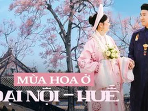 Huế lại khiến du khách "tuyệt đối ngẩn ngơ" với mùa hoa phủ hồng Đại Nội: Đi đi em, còn do dự là hết đó!