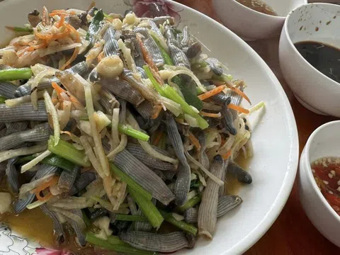 Đặc sản 'dưới bùn' ở Quảng Ninh nhìn kỳ dị, xào su hào ăn ngọt, ngon