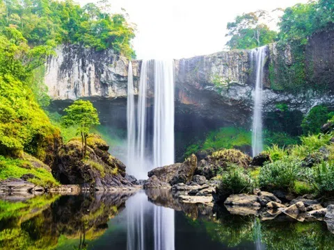 Khám phá “nàng thơ” giữa đại ngàn Tây Nguyên, khung cảnh như chốn thần tiên, dành riêng cho team mê trekking