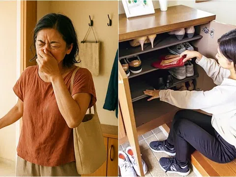 Tủ giày của bạn lúc nào cũng ẩm mốc và bốc mùi? 90% mọi người đều bỏ qua điểm quan trọng này