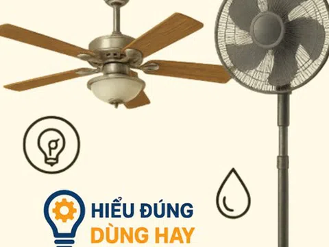 Quạt trần và quạt cây: Loại nào hiệu quả và tiết kiệm điện hơn trong phòng rộng?