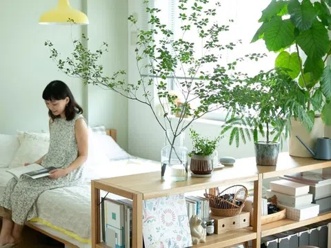 Ông bà dặn lại: Trồng nhầm cây này trong phòng ngủ dễ thất thoát tiền bạc mà không hay