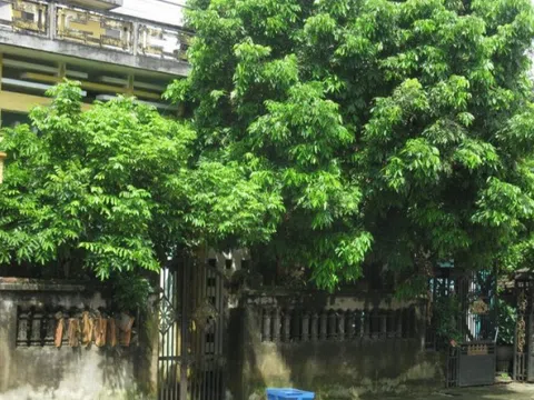 3 chi tiết trong nhà tưởng vô hại nhưng khiến tài vận cứ trôi đi