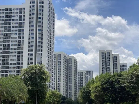 Chuyển từ căn hộ studio sang căn 1 phòng ngủ: Chỉ sau 1 lần đổi không gian sống, tôi mới hiểu sự khác nhau lớn đến thế nào