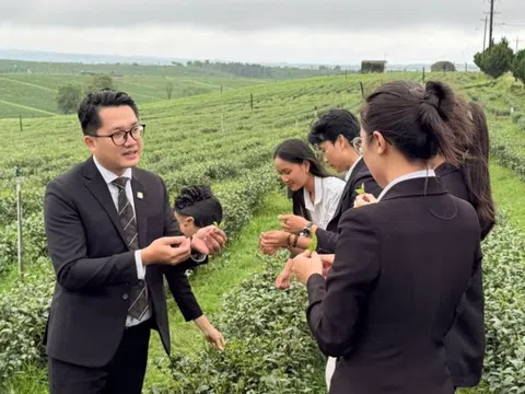 Hành trình trải nghiệm tinh hoa văn hóa trà Việt đầy mới mẻ, ấn tượng