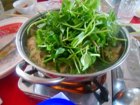 Loại rau xưa bị coi là "rác" nay thành đặc sản chị em thành phố lùng mua, 120.000đ/kg bán vẫn "đắt như tôm tươi"