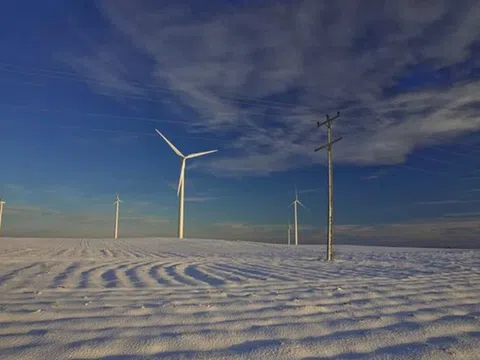 Nguyên nhân dự án trang trại điện gió 800MW bị từ chối