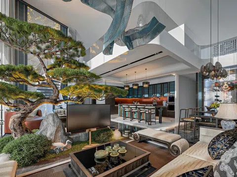 Trồng 3 cây này trong nhà: Tà khí không dám bén mảng, tiền tài tự tìm đến