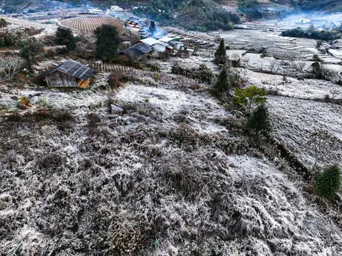Lào Cai: Băng giá trắng xóa 'bao phủ' bản làng ở Y Tý