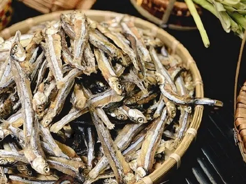 Đi chợ thấy 6 loại cá này thì mua này, vừa ít "ngậm" thủy ngân, vừa giàu dinh dưỡng, lại giá rẻ