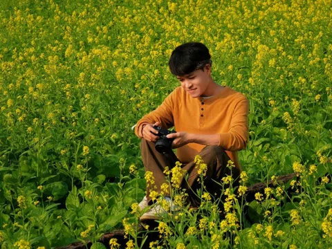 Cánh đồng hoa cải cách trung tâm Hà Nội 30km nở rộ, khách vượt xa đến check-in