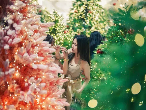 Lạc bước giữa vườn thông phủ tuyết mùa Giáng sinh