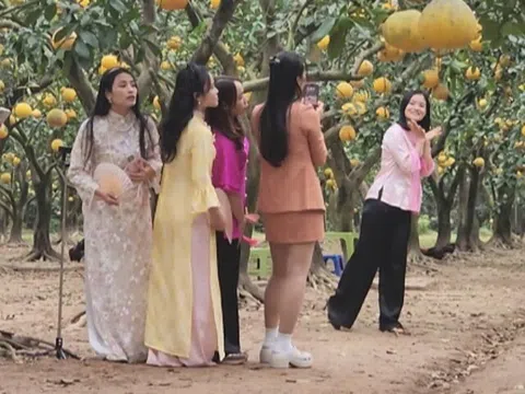"Check-in", săn lùng đặc sản tại thủ phủ bưởi Diễn
