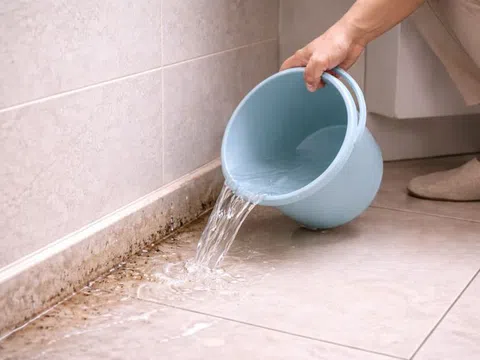 Mẹ tôi truyền bí quyết: Dội nước vào góc nhà này mỗi tuần - muỗi, kiến giảm hẳn mà không cần thuốc