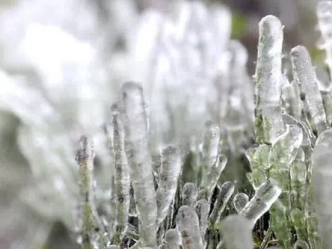 Băng giá phủ trắng đỉnh Phia Oắc ở Cao Bằng