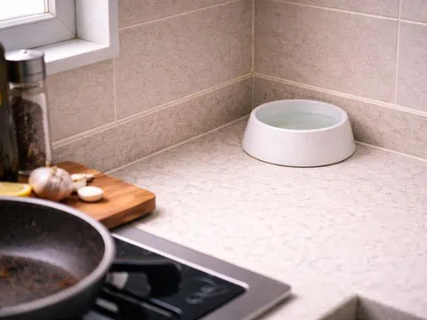 Mẹ tôi dạy: Chỉ cần đặt một bát nước ở bếp - mùi chiên xào bay nhanh hơn hẳn mà không cần máy hút mùi