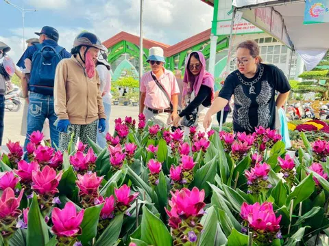 Giống hoa lạ khiến nhiều người tìm về Làng hoa Sa Đéc để mua bằng được