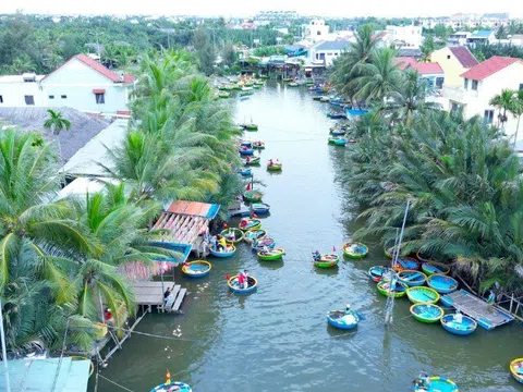 Có gì ở ngôi làng giữa rừng dừa nước được Forbes vinh danh?