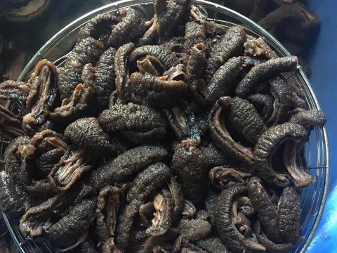 Sản vật "trời ban" ở Quảng Ninh nhìn kỳ dị, khách từ sợ đến nức nở khen ngon