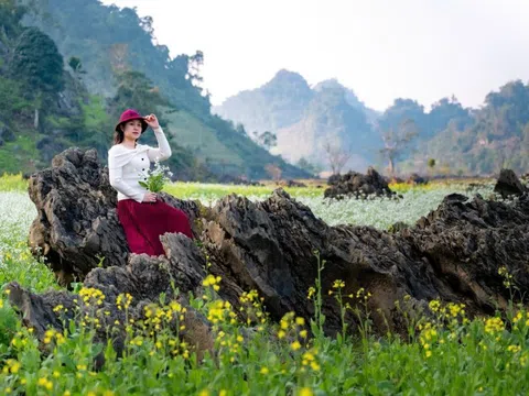 Ngôi làng đậm chất thơ cách Hà Nội 200km, chụp ảnh đẹp "miễn chê"