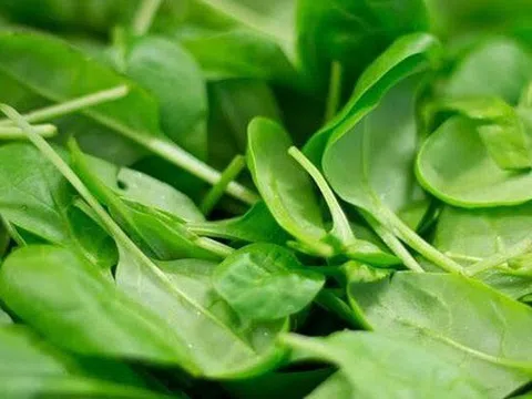 Đi chợ Tết mua rau, thận trọng với 3 loại này, người bán chưa chắc đã dám ăn