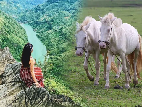 Ở Hà Nội nơi nào là một trong "Thăng Long tứ trấn"? Đâu là dòng sông có nước chảy xiết như "ngựa phi"?