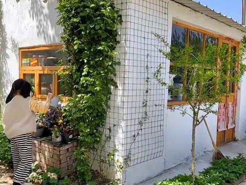 Không mua nhà thành phố, cặp vợ chồng 33 tuổi biến sân quê thành "phòng tắm nắng" và chọn một kiểu tự do tài chính khiến dân mạng tranh luận