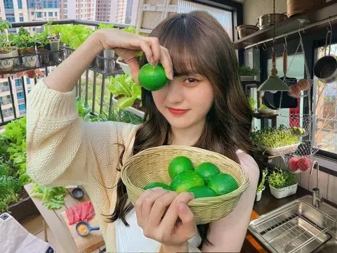 Từ chê “trồng rau là phong trào” đến nghiện thu hoạch: Lần đầu tôi hiểu vì sao người thành phố mê làm nông tại nhà