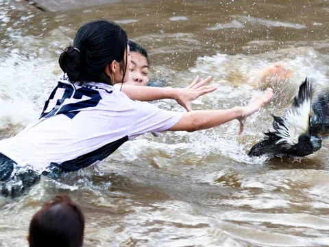 Trai gái làng gốm ở Hà Nội ngụp lặn săn "lộc vịt" đầu xuân