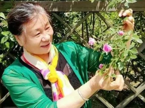 Sân 60m² giữa phố trồng hàng trăm loại rau: Cuộc sống hưu trí khiến nhiều người ước ao vì mỗi ngày ăn một loại rau khác nhau