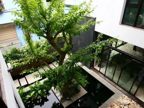 Ông bà dặn: Nhà xuất hiện 6 dấu hiệu này chứng tỏ rất lộc, càng ở càng lãi, tuyệt đối đừng bán