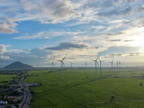 Đẹp lịm tim hoàng hôn ở cánh đồng điện gió