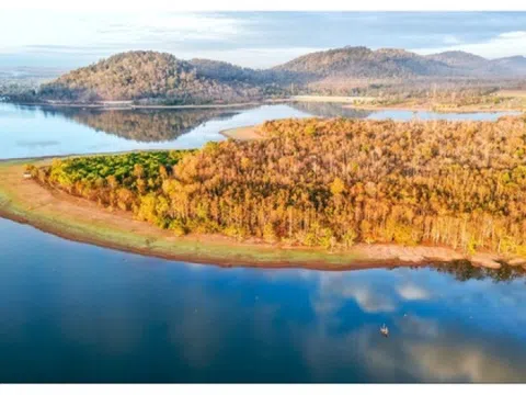 Đẹp ngỡ ngàng rừng khộp mùa thay lá