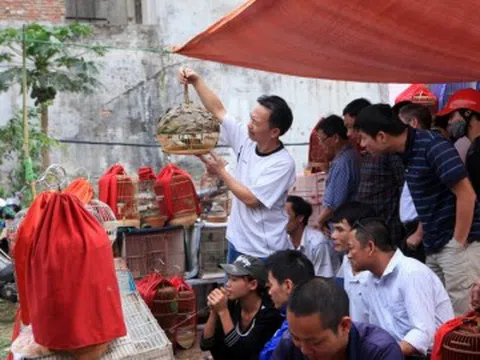 Ở Hà Nội có phiên chợ bán thứ nghe tên ngượng đỏ mặt, khách chủ yếu là đàn ông, có người chỉ đến ngắm chứ không mua