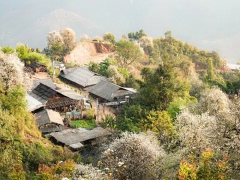 Cách Hà Nội 200 km có một nơi đẹp như tranh vẽ, vừa được săn mây, vừa ngắm hoa sơn tra phủ kín núi cực đẹp