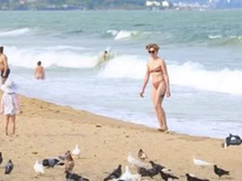 Cảnh tượng chim bồ câu níu chân du khách ở bãi biển Nha Trang