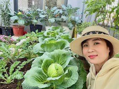 Ngắm khu vườn sân thượng “mùa nào thức nấy” rộng 85m2 của gia đình Đà Nẵng